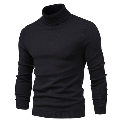 Men's Cotton Jumper with Roll Neck - Knitwear